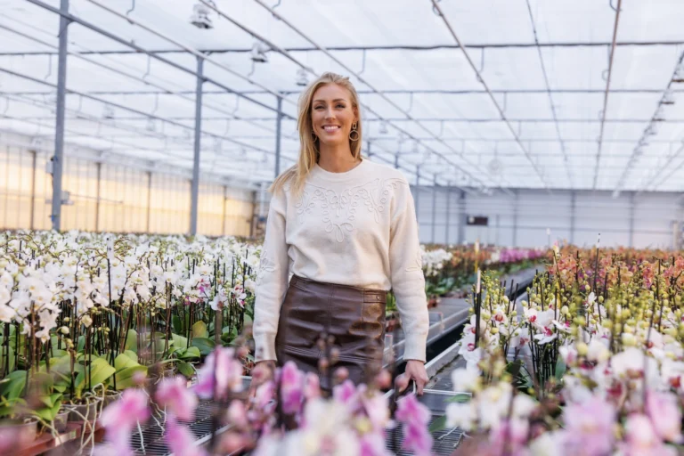 Pannekoek Orchideeën