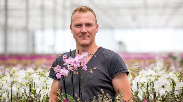 Kwekerij in Berkel en Rodenrijs Pannekoek Orchideeën