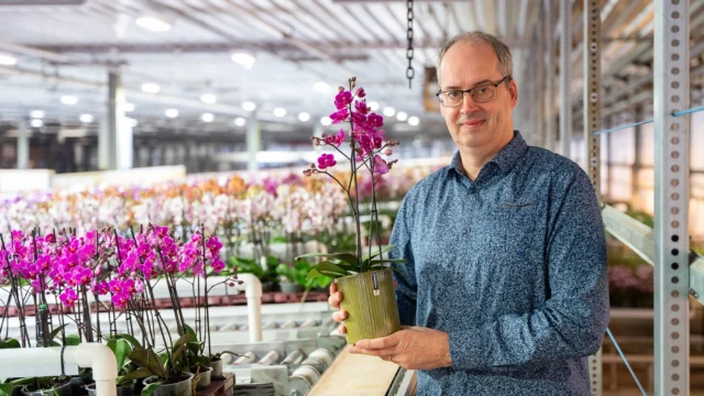 Kwekerij in Berkel en Rodenrijs Pannekoek Orchideeën
