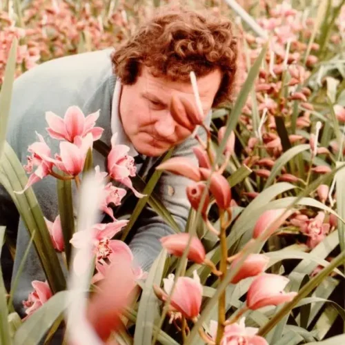 Onze wortels, jouw bloei – de geschiedenis van Pannekoek Orchideeën.